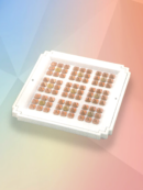 Buy Jiten Flat Max Ultra